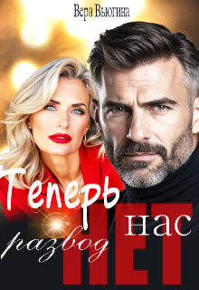 Развод. Теперь нас нет. — Вера Вьюгина